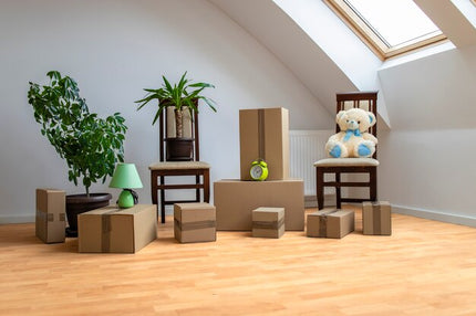 Collection image for: Home & Living