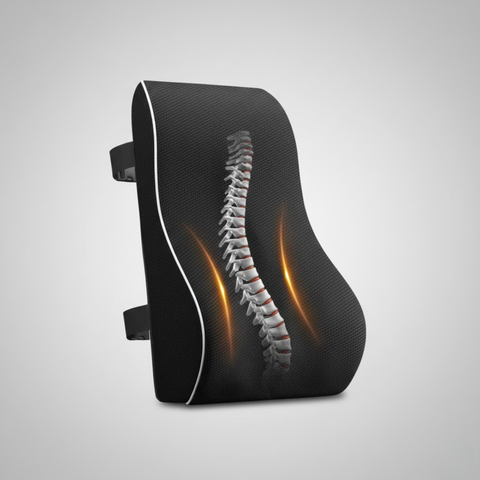 Rugleuning Lendenkussen